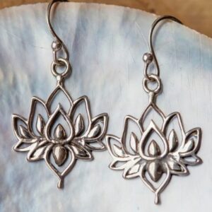 Taras-World-agent-handicraft-Ram-Sharma-silver-jewellery